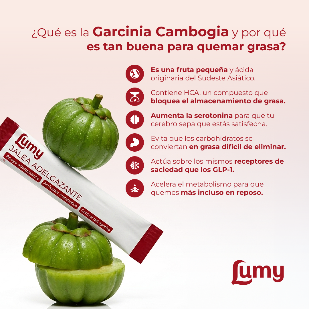 Lumy | Palitos de Gelatina Coreanos con GLP-1 Natural